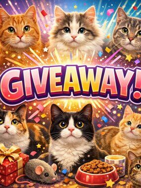 Giveaway!!!